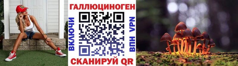 Купить где  Болотное  Псилоцибиновые грибы GOLDEN TEACHER 