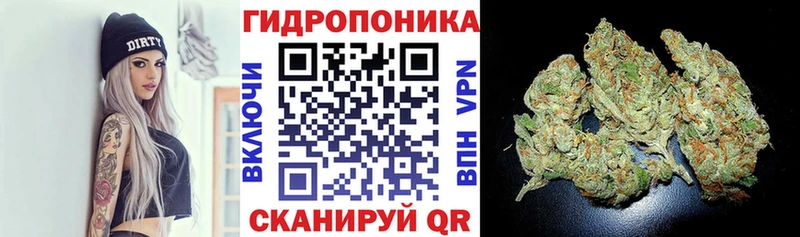 Купить закладки  Болотное  Каннабис индика 